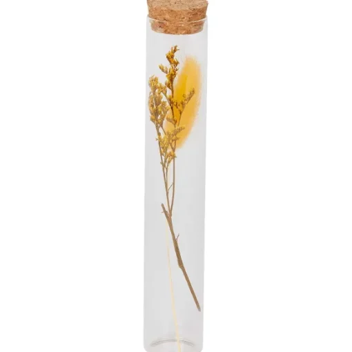 Merk Woonaccessoires>Buisje Met Droogbloemen