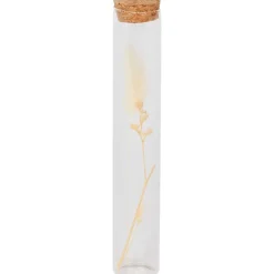 Merk Woonaccessoires></noscript>Buisje Met Droogbloemen