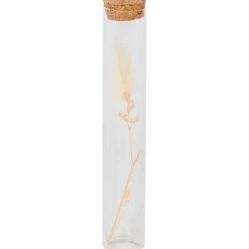 Merk Woonaccessoires>Buisje Met Droogbloemen