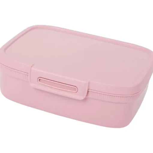 Curver Bewaren & Meenemen> Lunchbox Met Divider
