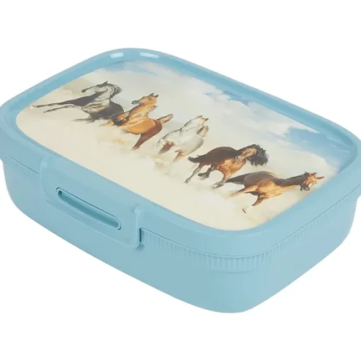 Curver Bewaren & Meenemen> Lunchbox Met Print