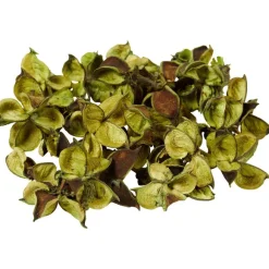 Merk Kunstplanten & -Bloemen></noscript>Decoratieblaadjes