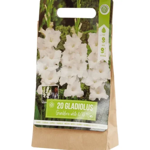 Green Boots Zaaien & Planten>Gladiolen Bloembollen