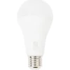 LSC Verlichting> Ledlamp