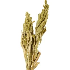 Merk Kunstplanten & -Bloemen></noscript>Nederlandse Droog Kunstbloemen