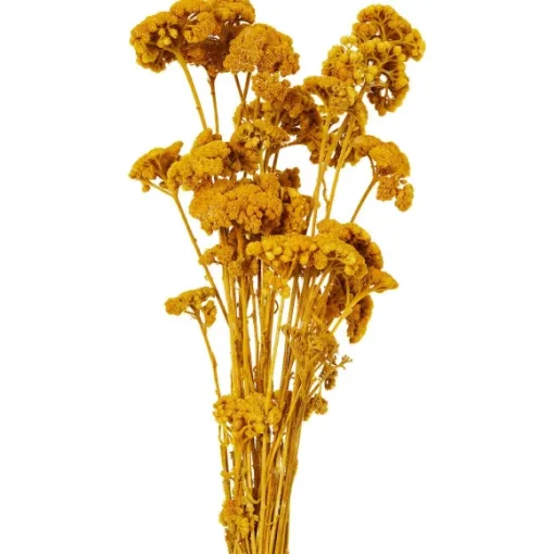 Merk Kunstplanten & -Bloemen>Nederlandse Droog Kunstbloemen