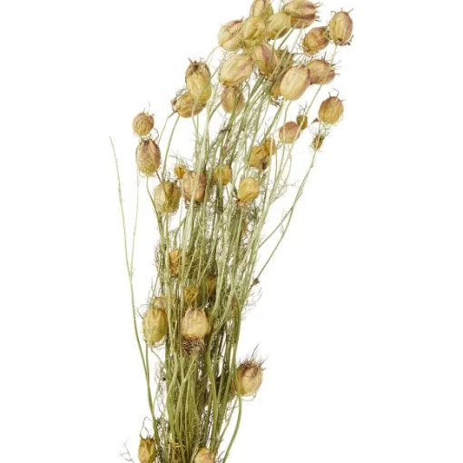 Merk Kunstplanten & -Bloemen>Nederlandse Droog Kunstbloemen
