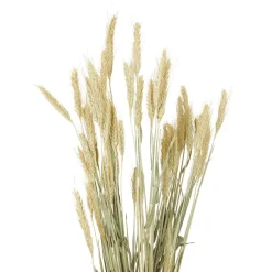 Merk Kunstplanten & -Bloemen></noscript>Nederlandse Droog Kunstbloemen