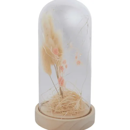 Merk Woonaccessoires>Stolp Met Droogbloemen En Licht