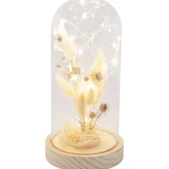 Merk Woonaccessoires></noscript>Stolp Met Droogbloemen En Licht