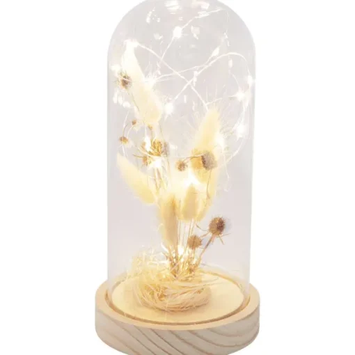 Merk Woonaccessoires>Stolp Met Droogbloemen En Licht