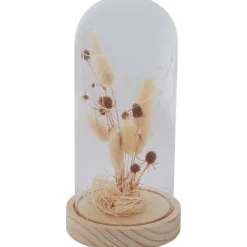Merk Woonaccessoires></noscript>Stolp Met Droogbloemen En Licht