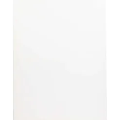Van Bleiswijck Schilderen> Schildersdoek