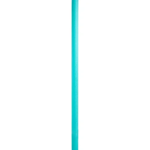 Intex Waterspeelgoed>Zwemnoodle