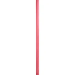 Intex Waterspeelgoed></noscript>Zwemnoodle